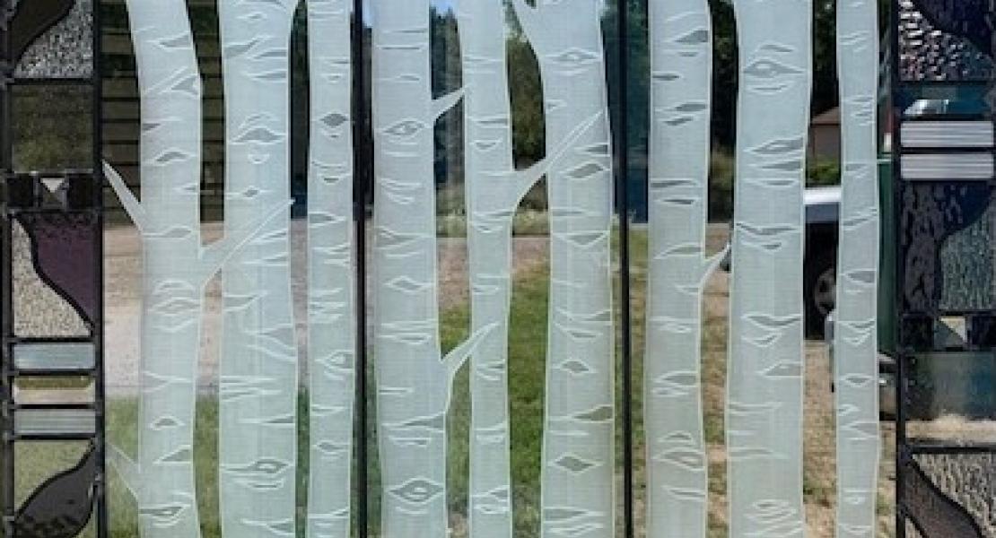 Birch Trees